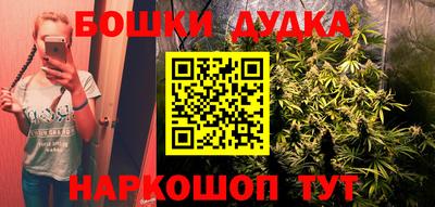 PSILOCYBIN Моздок